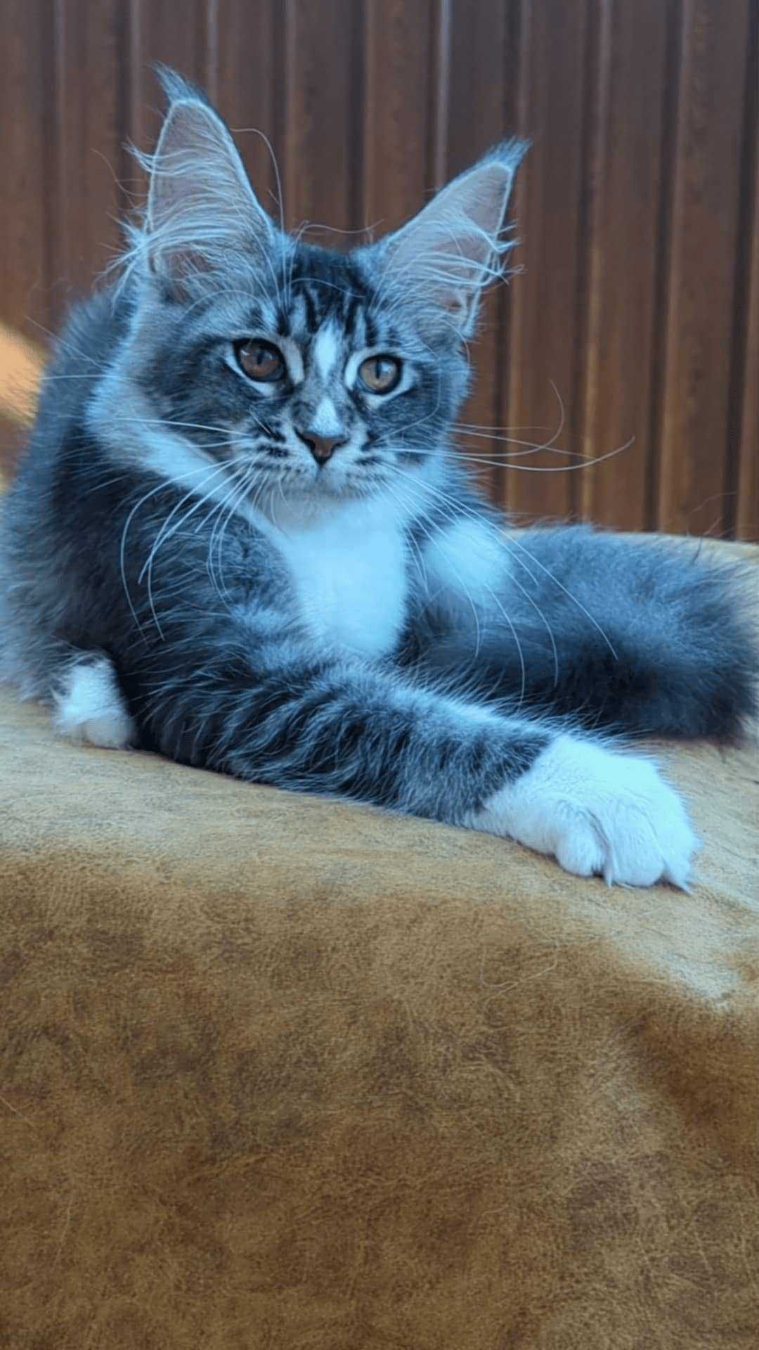 Uslada-Female - Image 7