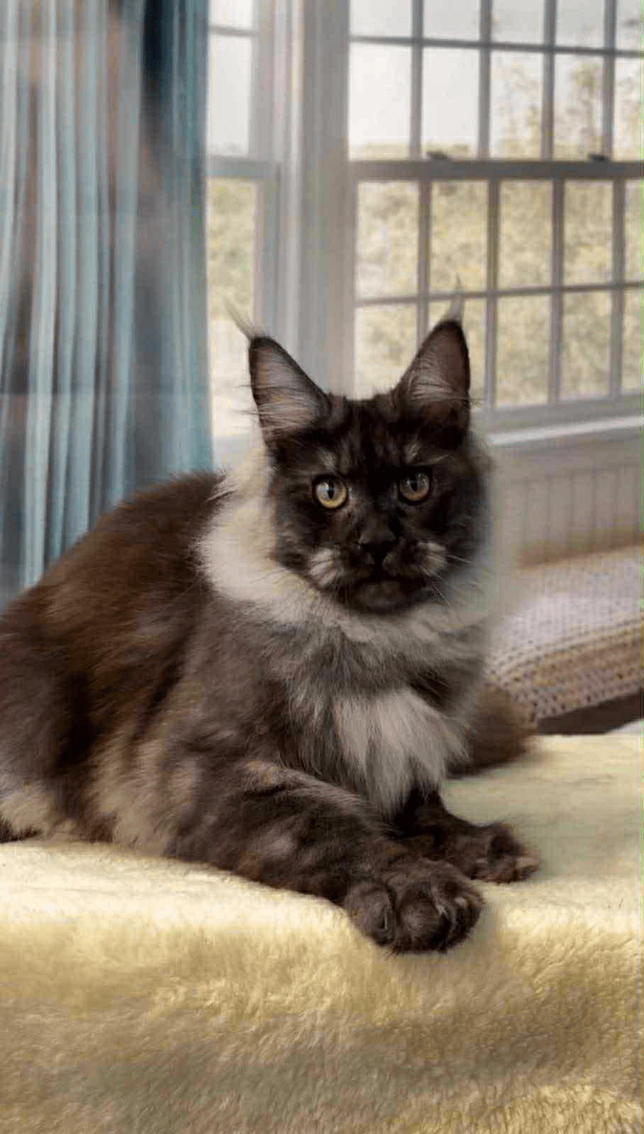 Samurai-Male - Image 13