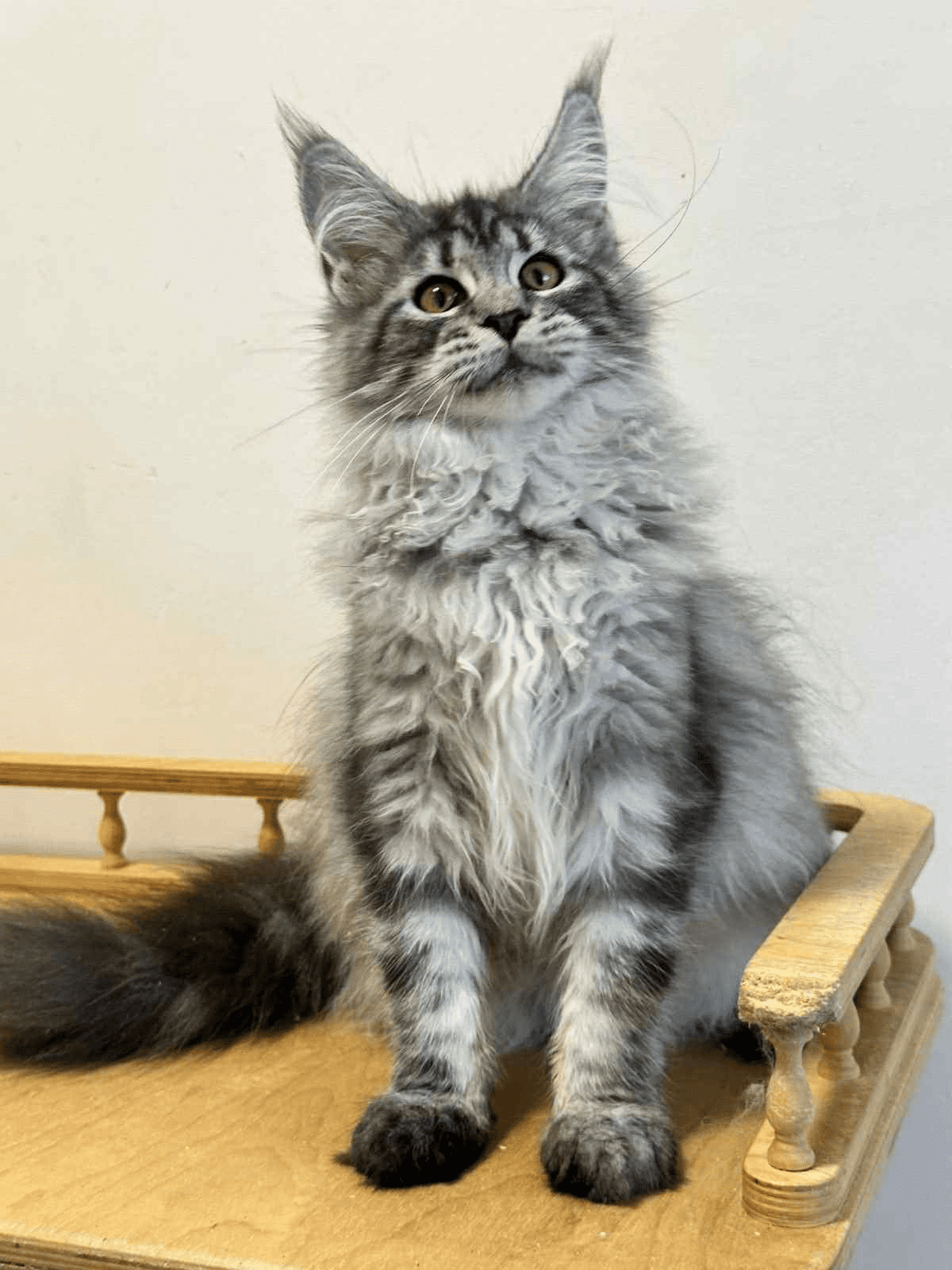 Mila-Female - Image 3