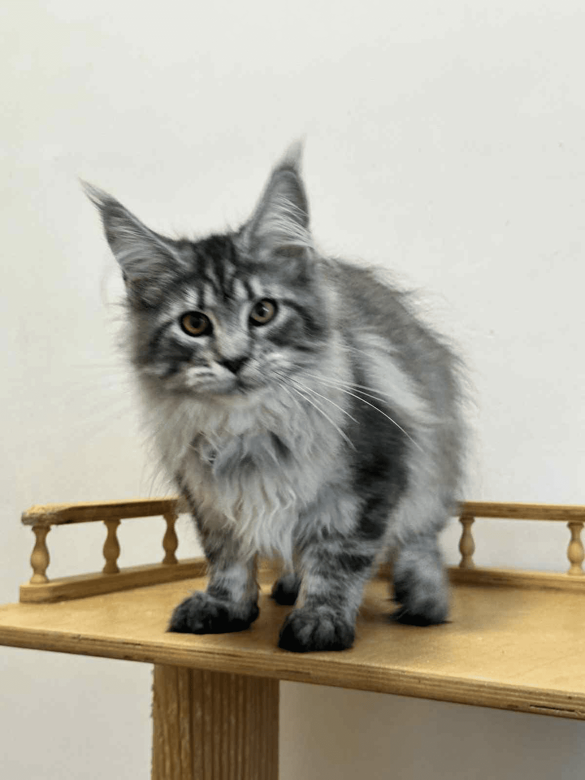 Mila-Female - Image 5