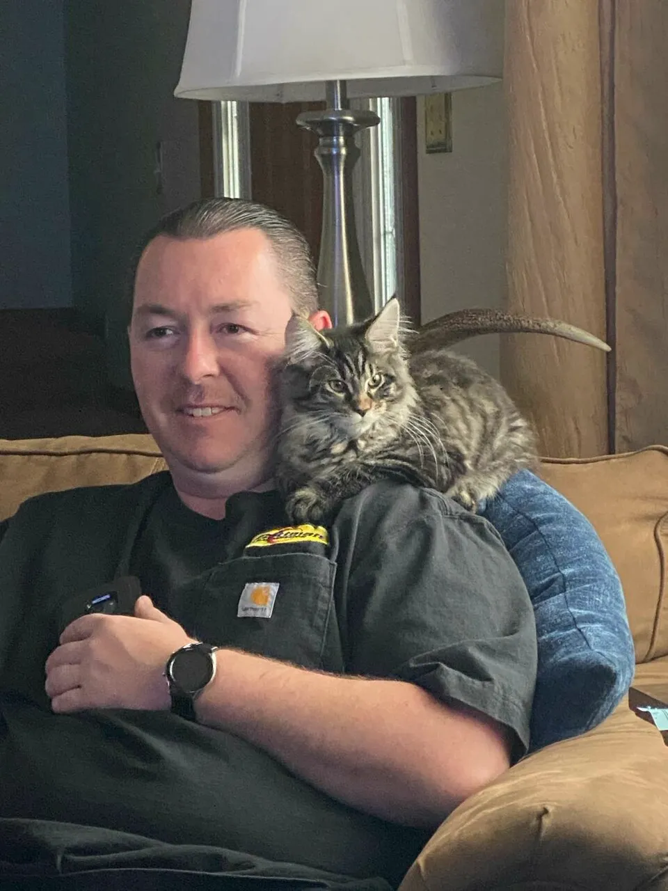 How Kim Fell in Love with Purebred Maine Coon Kittens