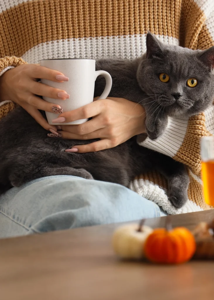 Young woman with cup of tea and cute British cat