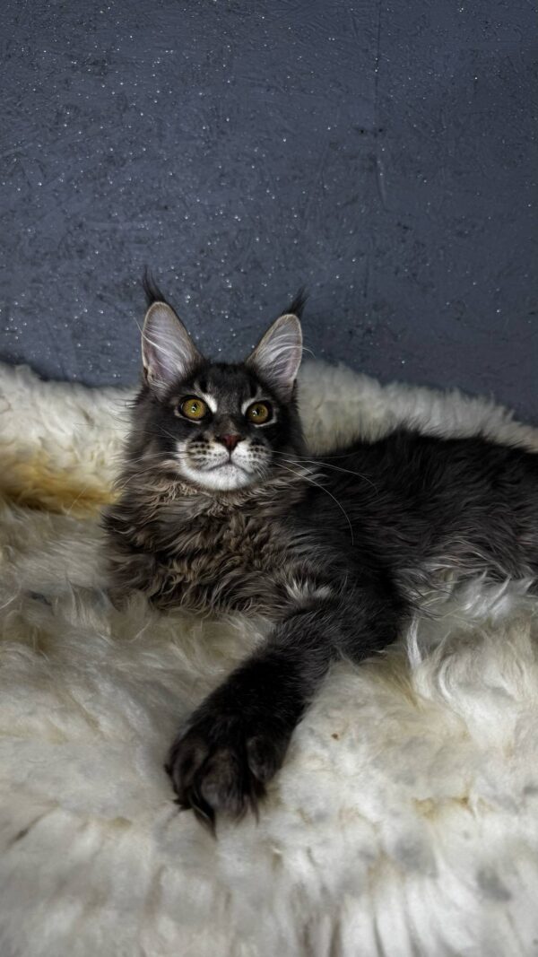 Flint-Male - Image 17
