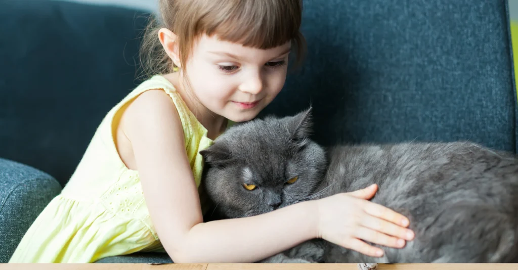 girl hugging her grey british cat