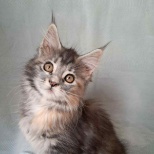 Betty-Female