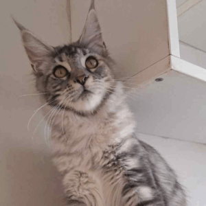 Betty-Female