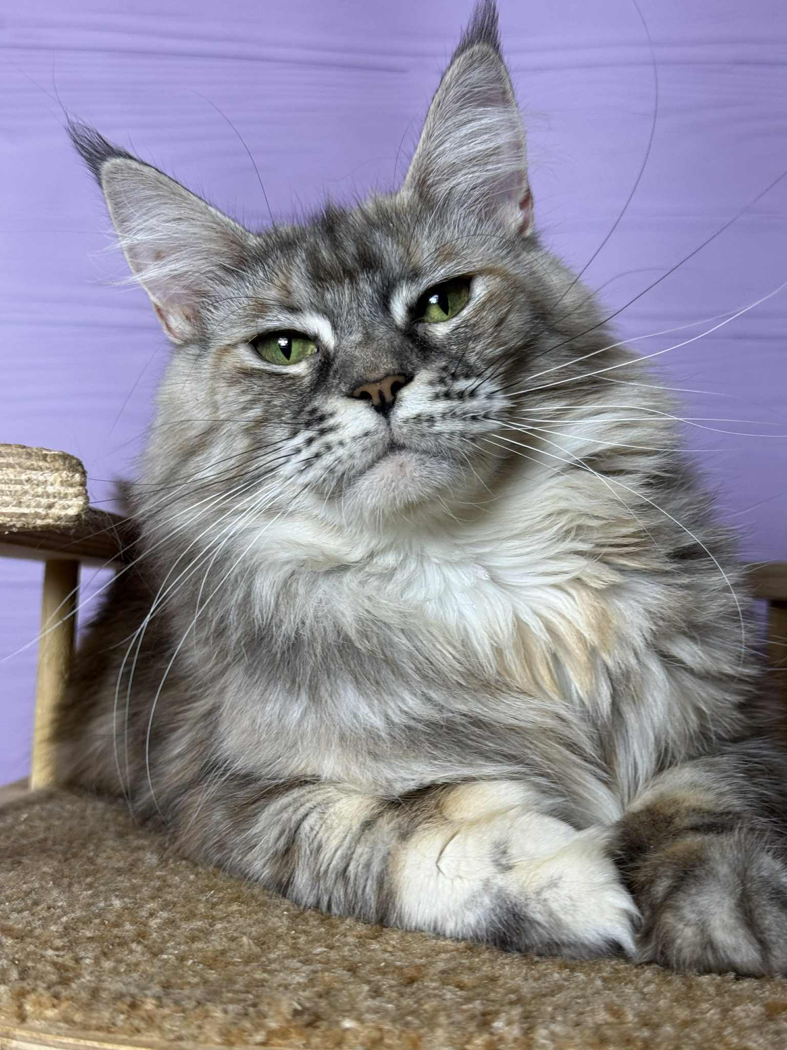 Leya-Female - Image 15