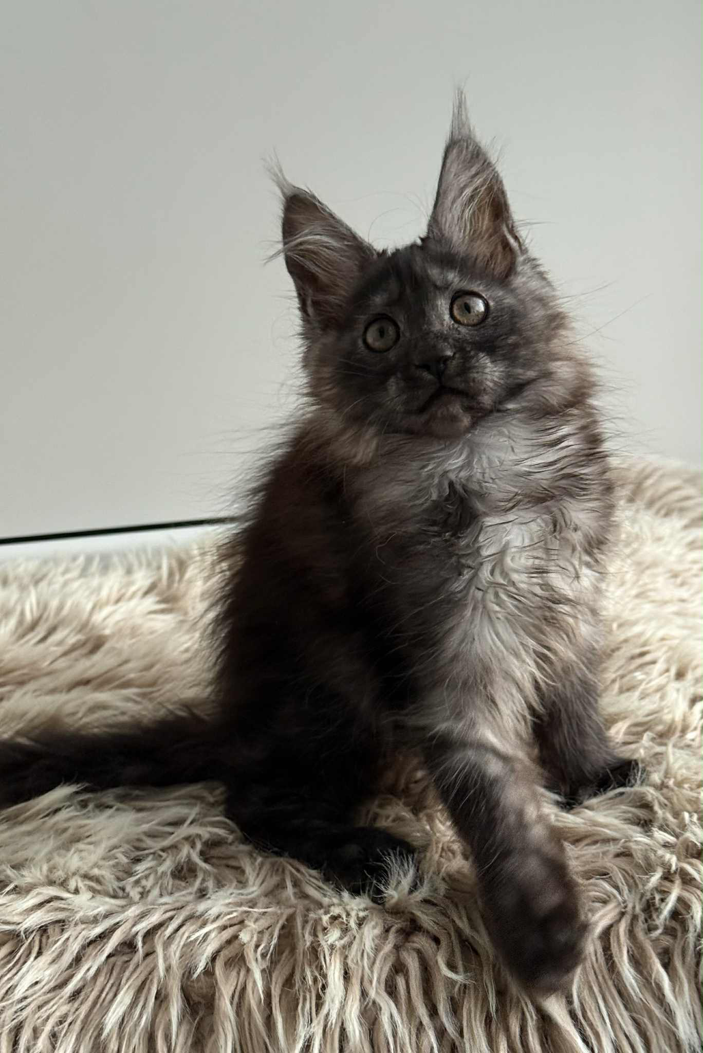 Leya-Female - Image 8