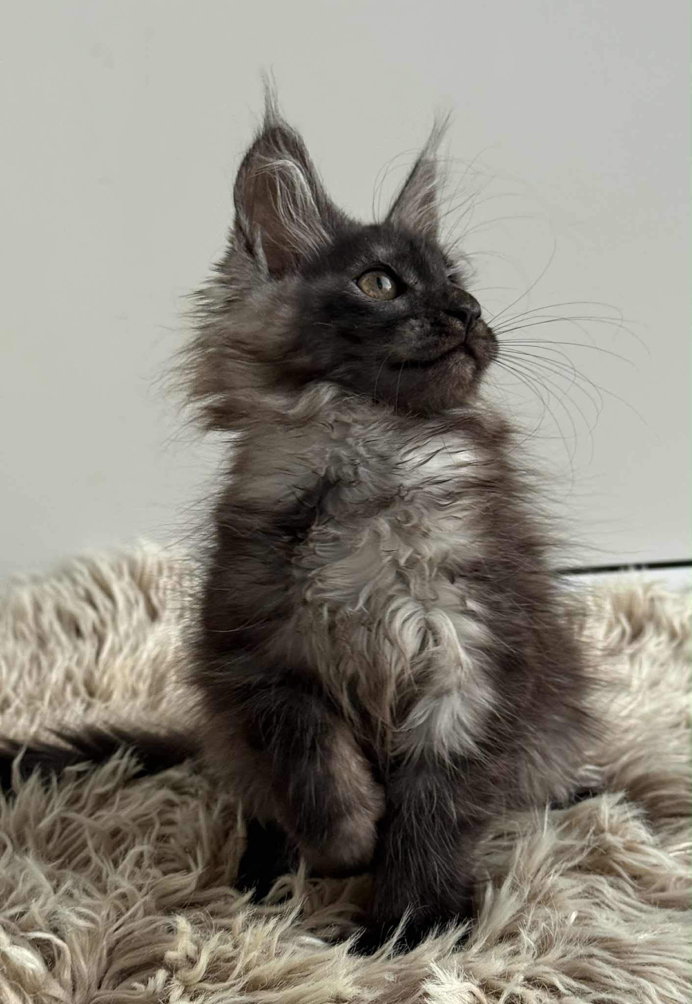 Leya-Female - Image 12