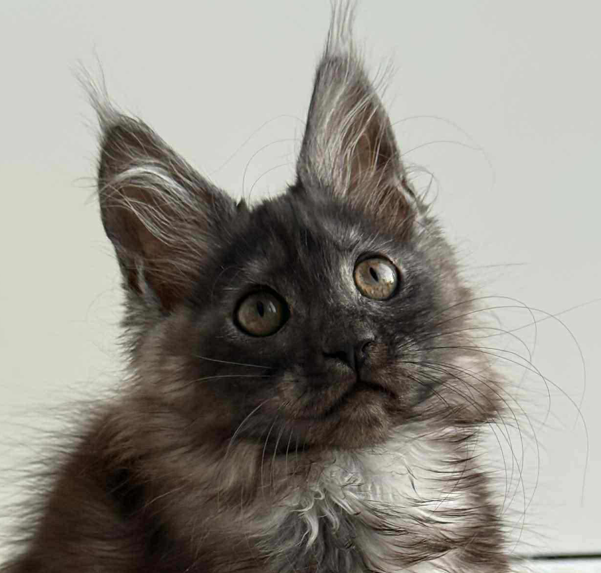 Leya-Female - Image 10