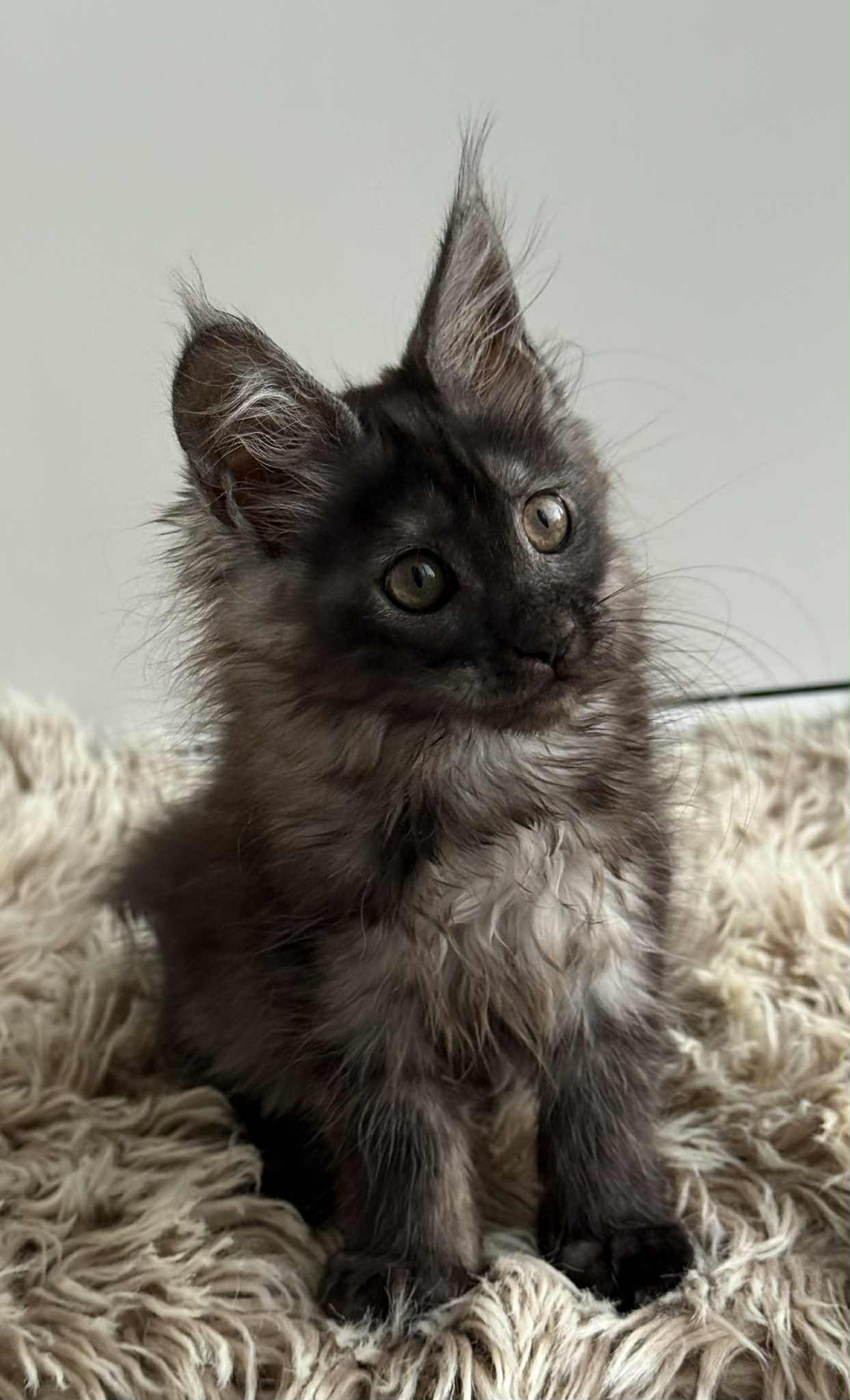 Leya-Female - Image 9