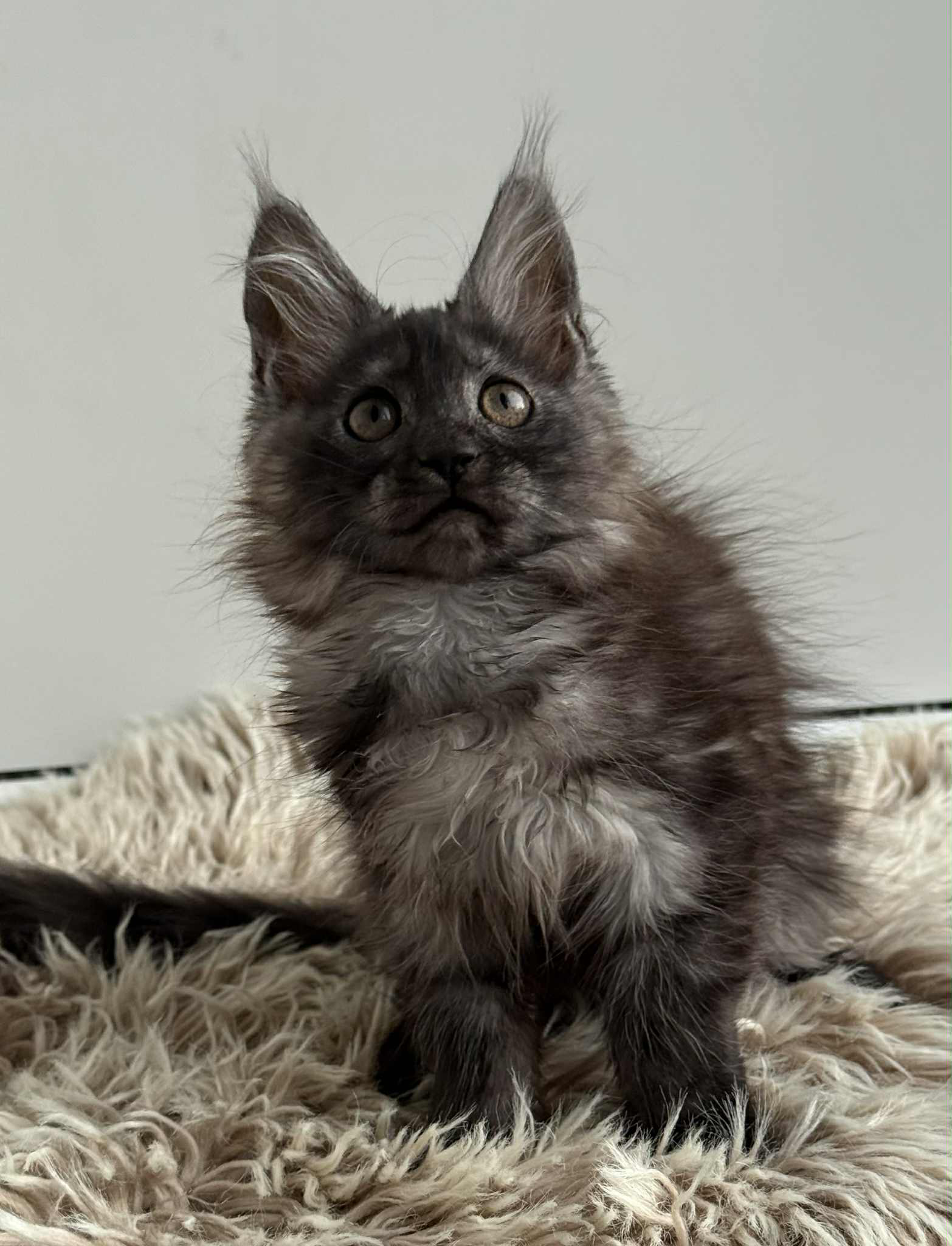 Leya-Female - Image 11