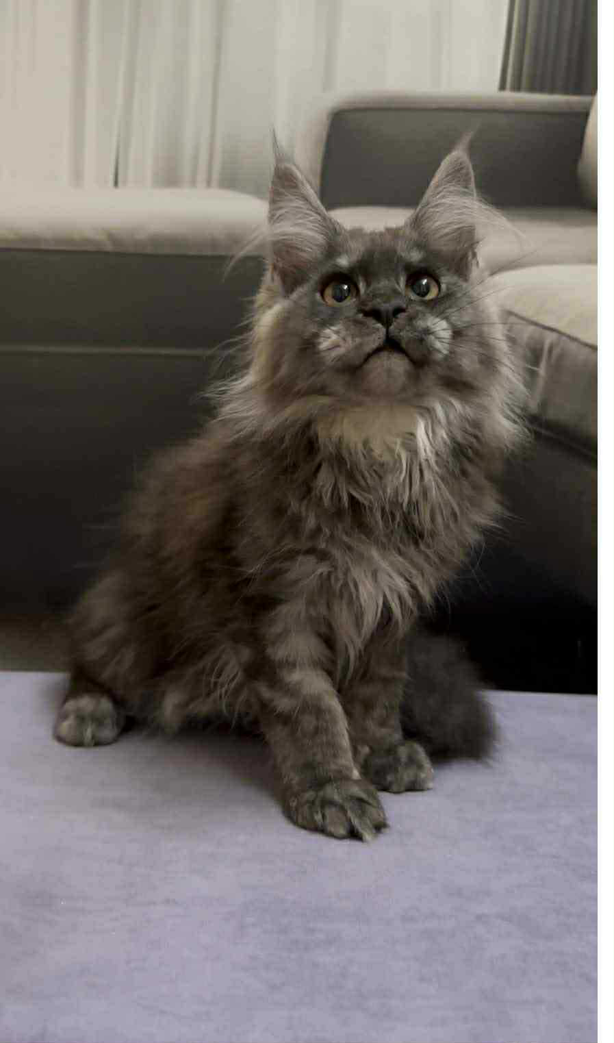 Soul-Female - Image 8