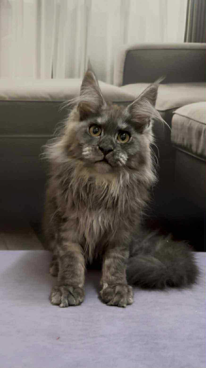 Soul-Female - Image 7