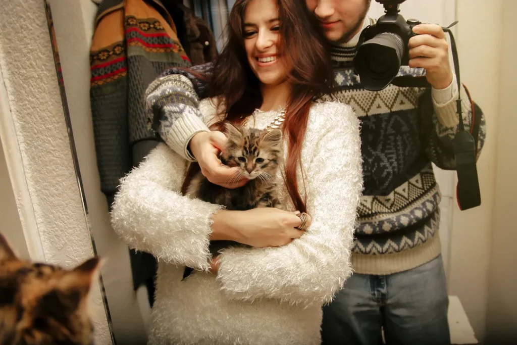 maine coon kittens for sale