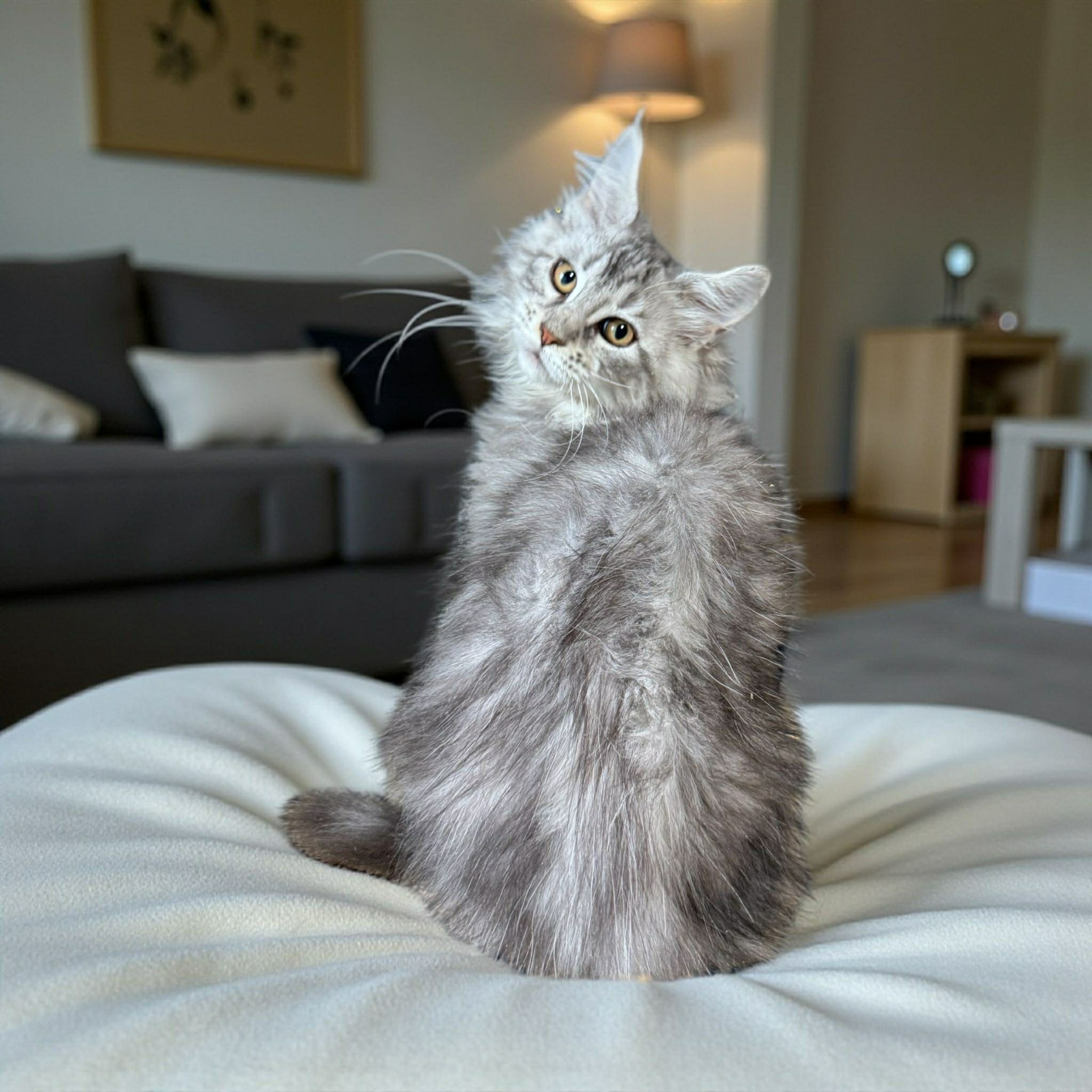 Narsy-Male - Image 4