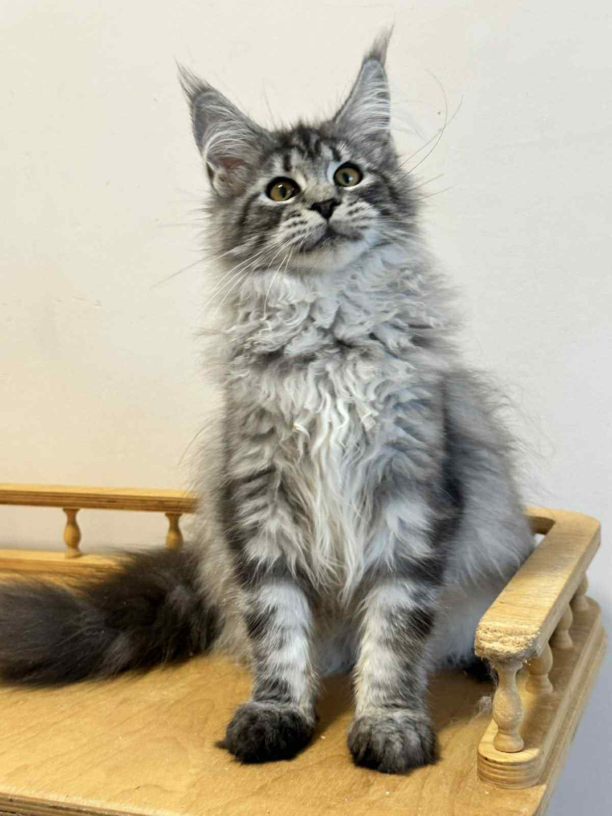 Mila-Female - Image 3