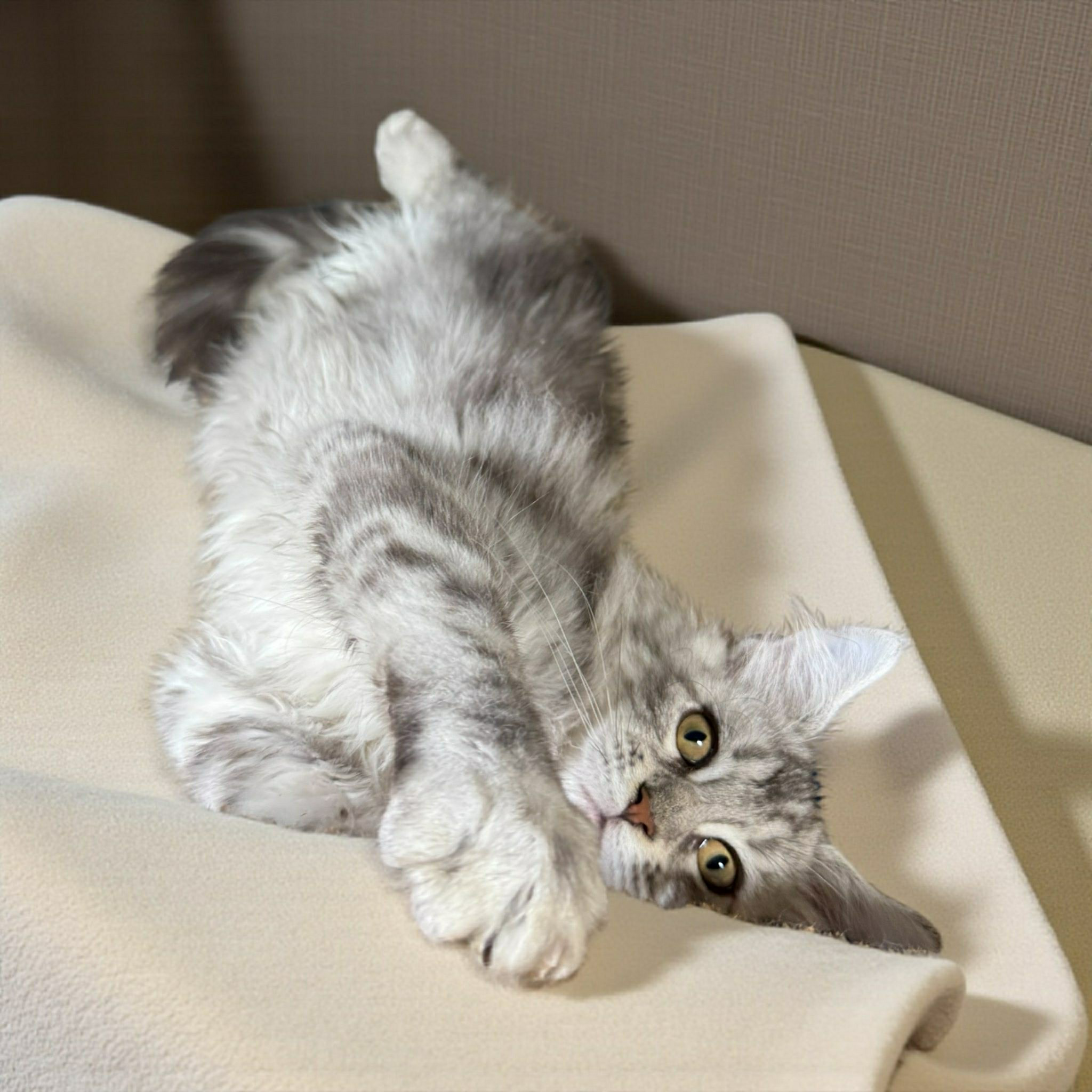 Narsy-Male - Image 3