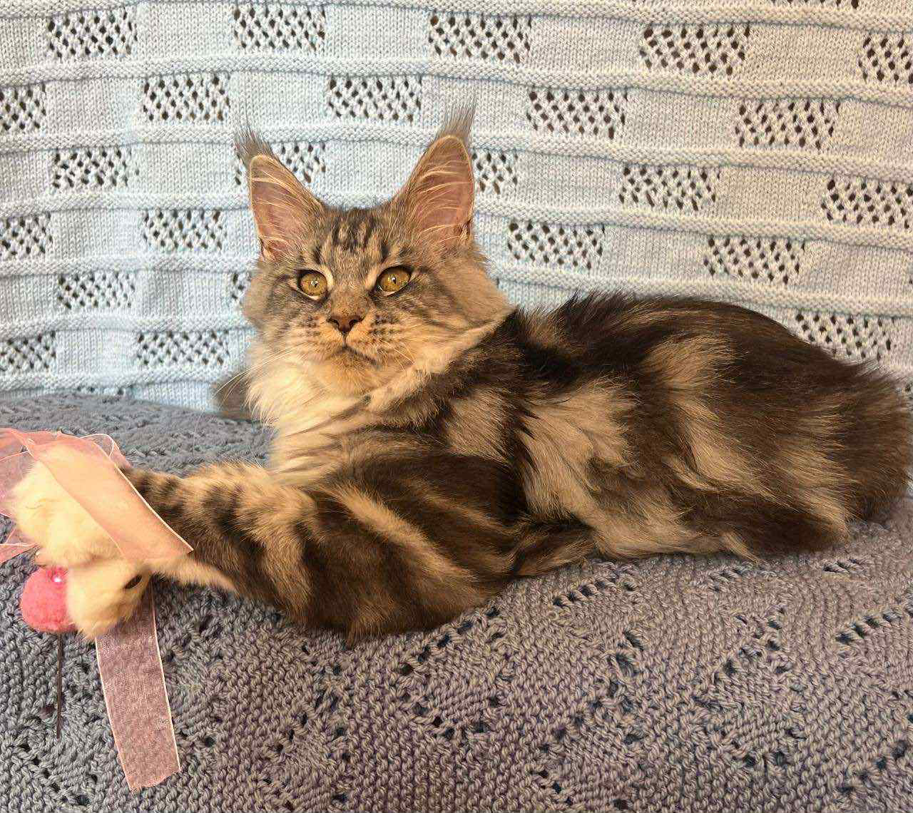 Margo-Female - Image 2