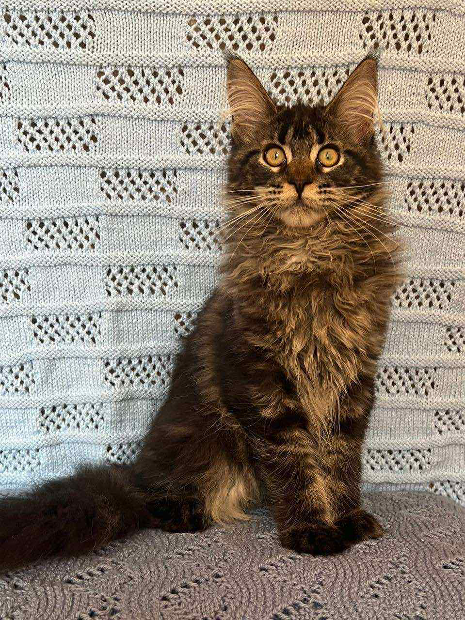 Mona-Female - Image 4