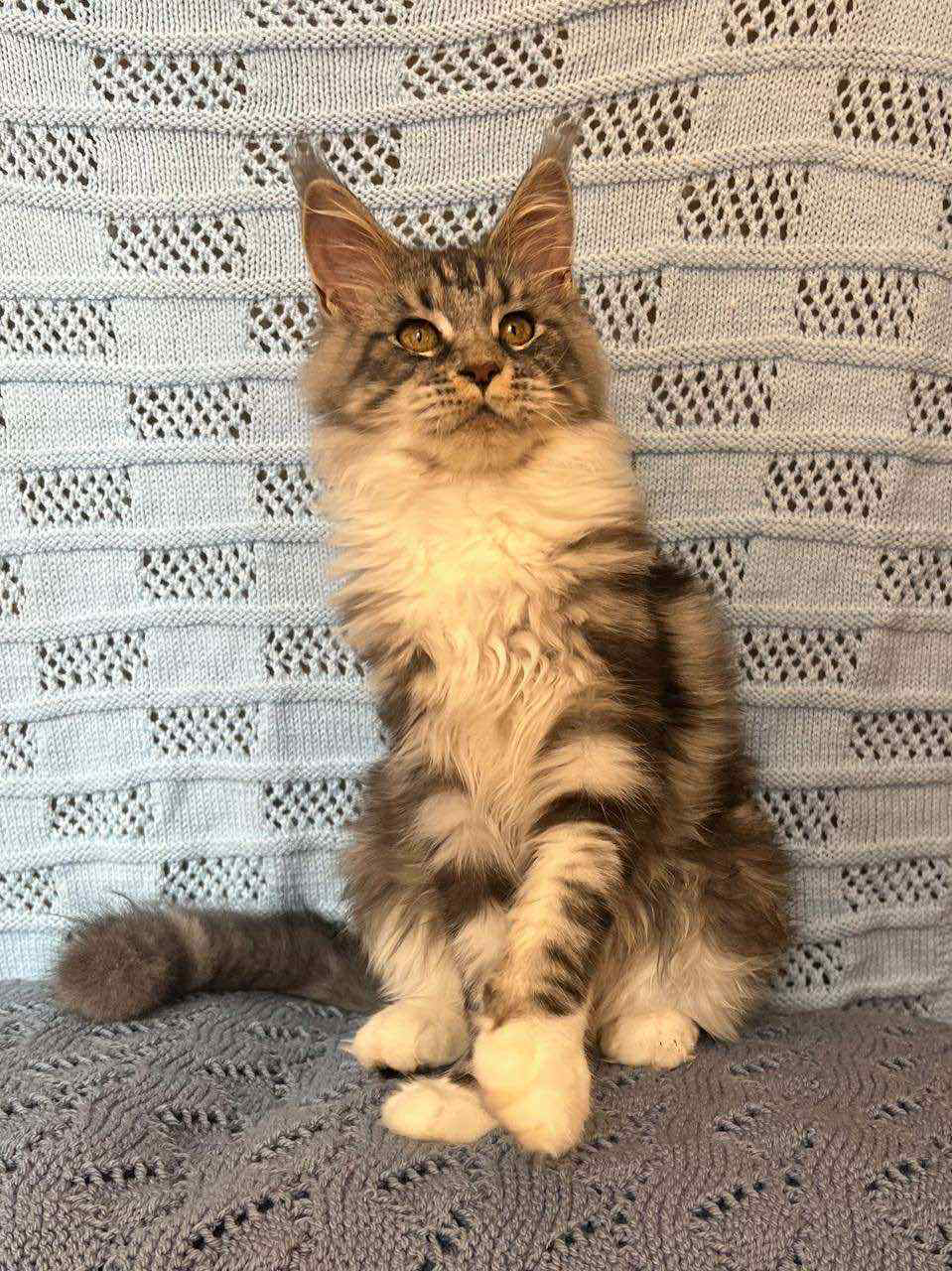 Margo-Female - Image 4