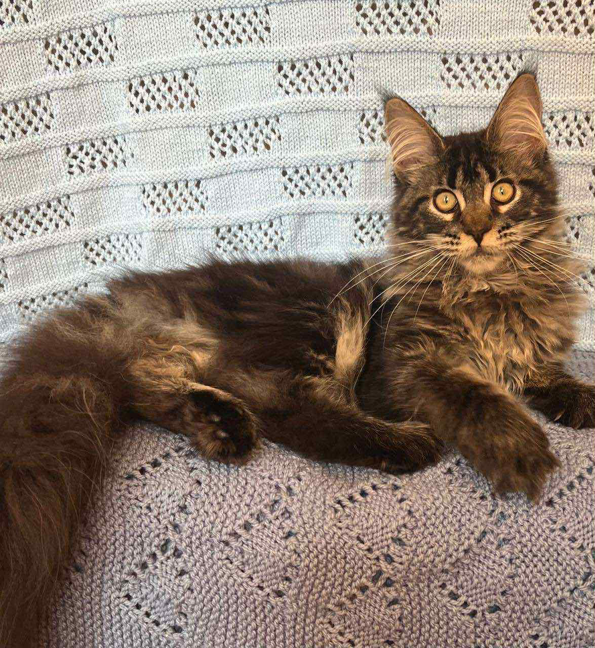 Mona-Female - Image 3