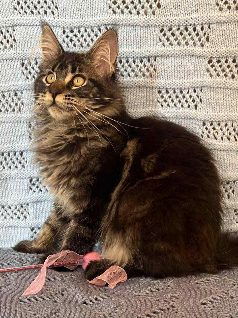 Mona-Female - Image 6