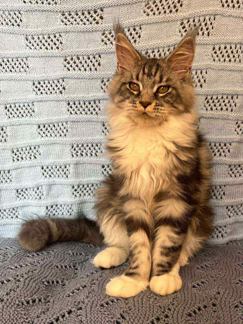 Margo-Female - Image 5