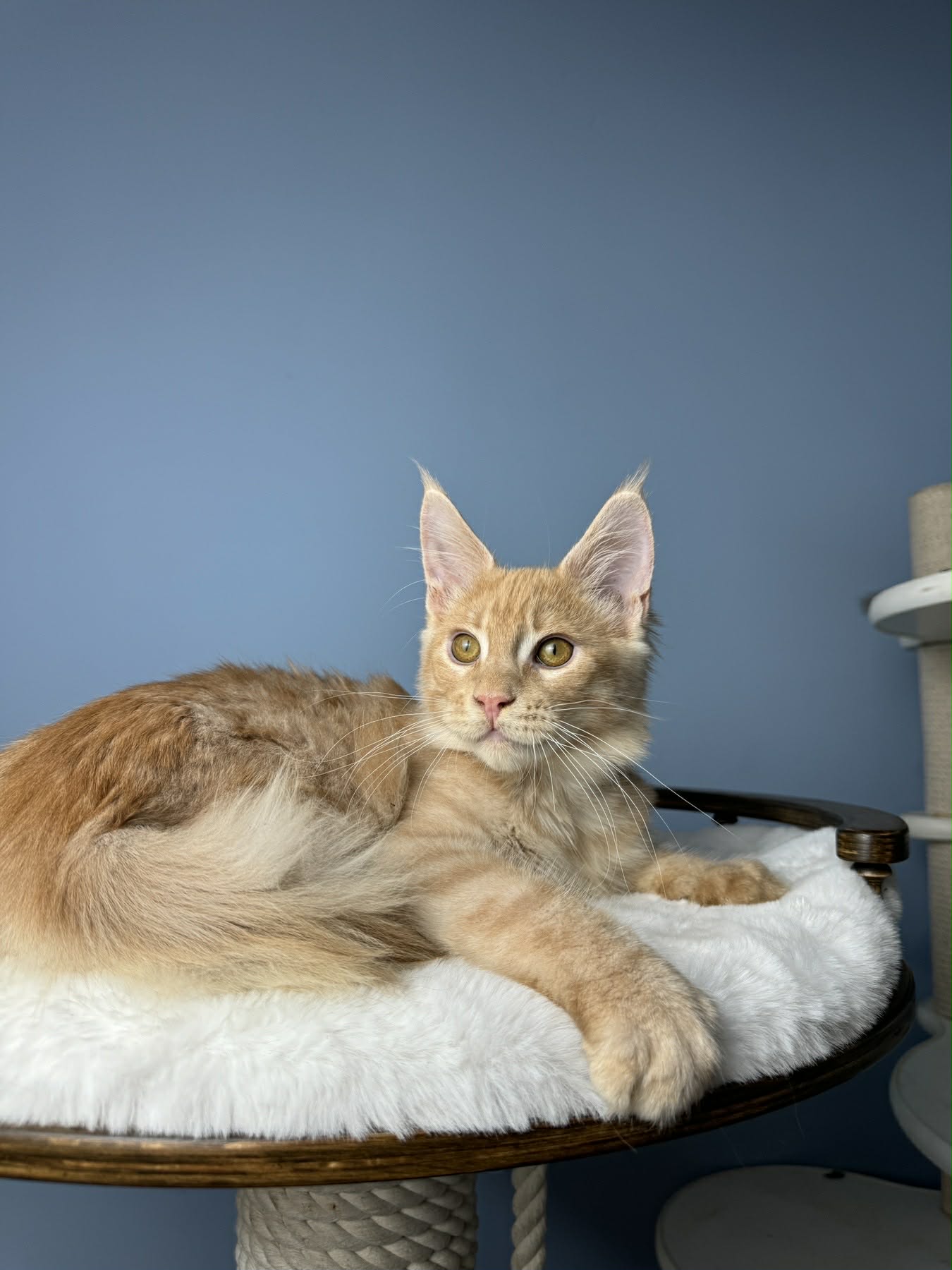 Crewman-Male - Image 5