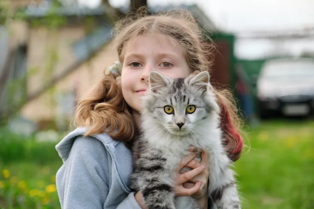 Maine Coons and Children