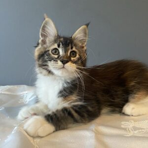 Rita-Female