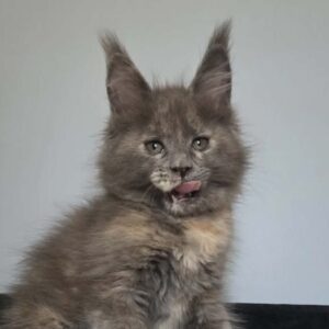 Malvina-Female