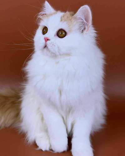 0023FEF3-9F77-4DEF-A0D7-872A33EE5592