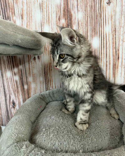 0042298B-456F-4335-8511-D7D386789E61