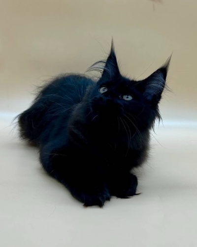 01CEF345-F75B-4370-B8A7-F4A9A3314225