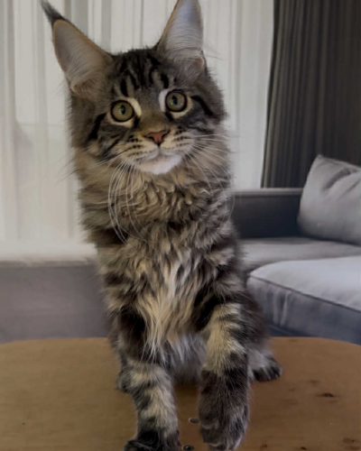 02159B93-66D0-4266-A098-1095D53E8FD1