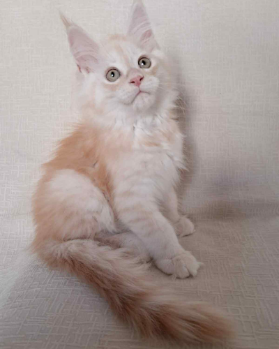 031B3407-925C-4869-902A-9E935B4F0BAC