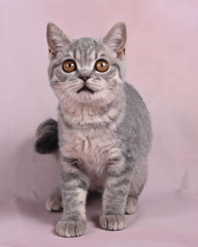 037DAA59-01EC-4DD8-B112-EF95F2570B46