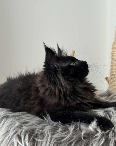 03FD3F72-53CA-4C70-A367-F321E0FE9C2A