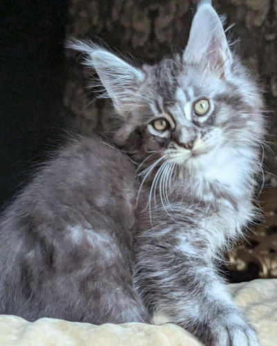 058CA738-2E48-4889-ADCC-F4AD5E29B97A