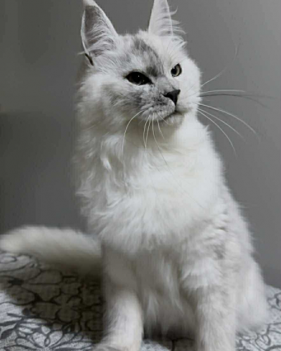 058F98F1-AE1B-4076-BE61-95E7D73DAE0C