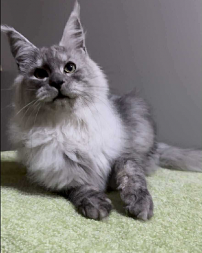 06B9C7BD-F347-4ABB-87FE-FA7A96ED7F23