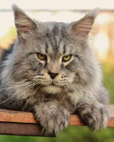 089EBC5C-9A63-4059-BCCF-BDD54D9D46D1