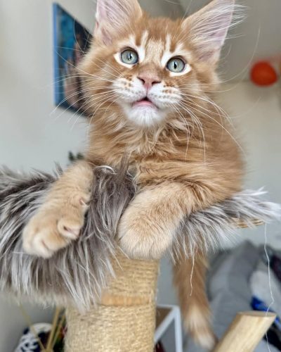 08e84563-aae2-46de-a451-781804833554