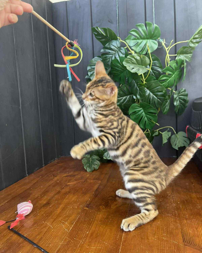 09430D7A-0830-4287-918B-13E3B0837C68