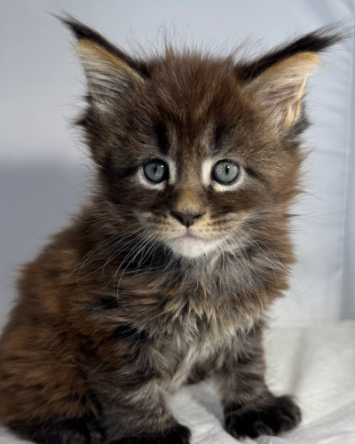 0961C4F9-5FC5-46D6-81CF-9A2D580442C9