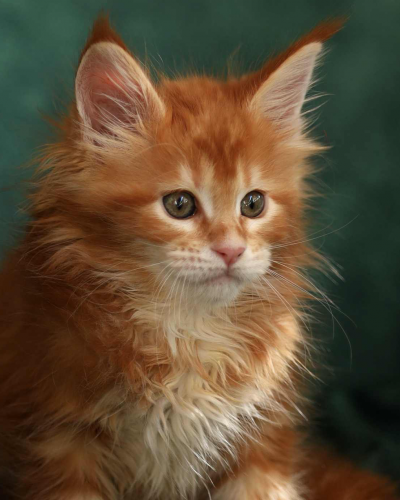 099BB4AD-48B6-49FF-8E14-37153B86A610