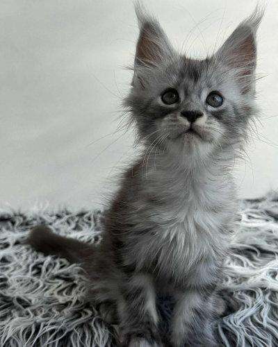 0B147157-B727-4329-A4E1-A50A30420211