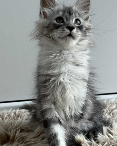 0B4AC7C5-7BBB-4A86-8EAD-BA672AFE20D3