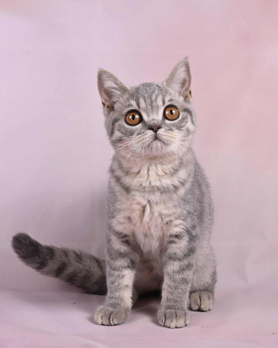 0E7DADE7-1FF2-4ADA-9EC1-553ABB9E4228